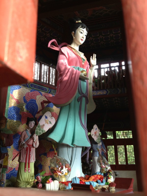 神仙姐姐——小龙女,我偷拍的门还没开呢。